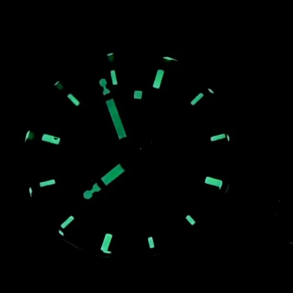 PAGANI DESIGN Original 42,7mm  – Diver Watch 300M Bewertung und Preis